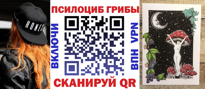 Псилоцибиновые грибы Magic Shrooms  где купить наркотик  Новомичуринск 